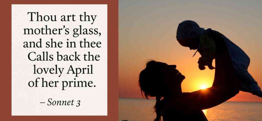 Sunday Shakespeare - thou art thy mother's glass